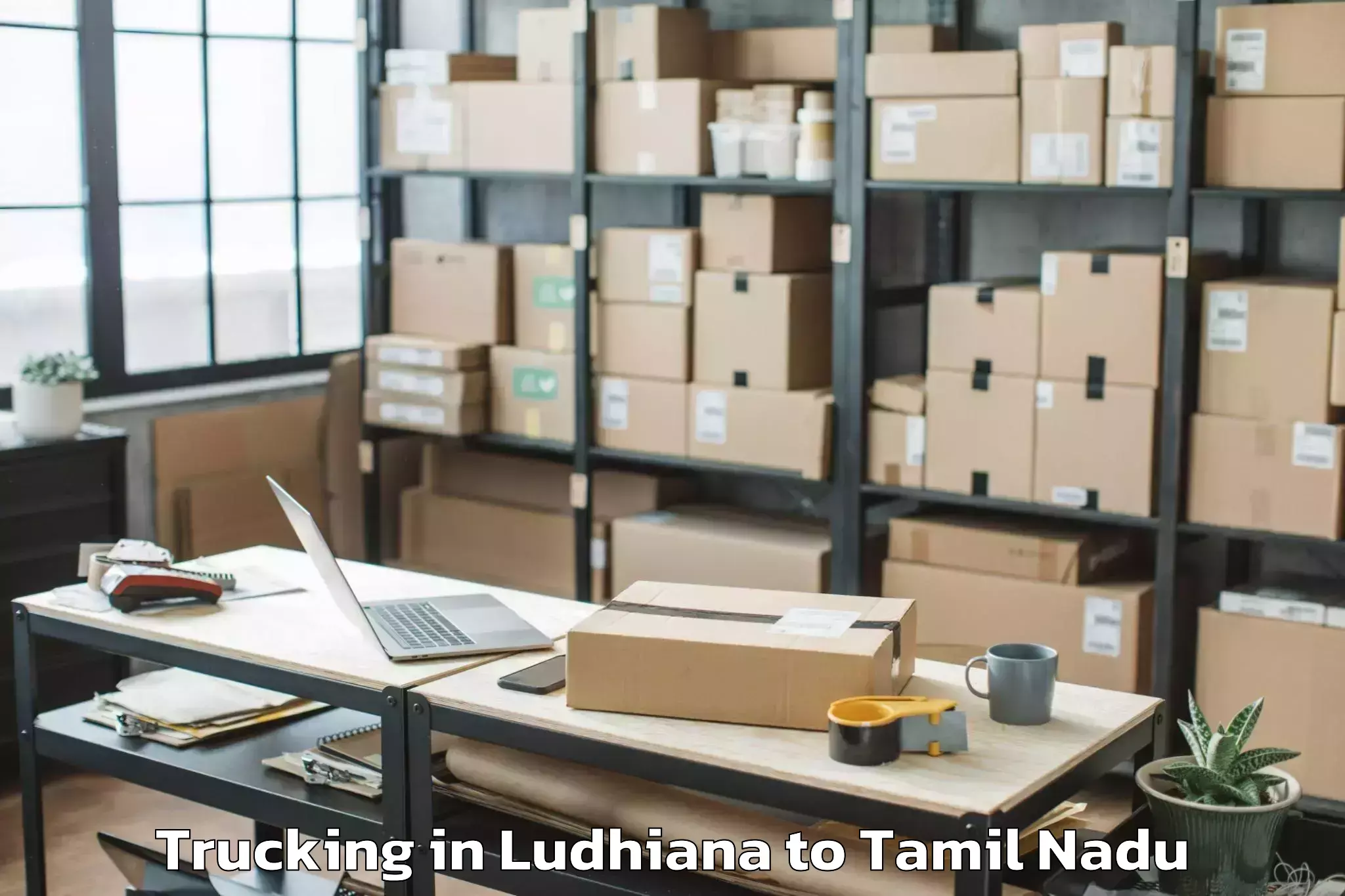 Top Ludhiana to Kanchipuram Trucking Available